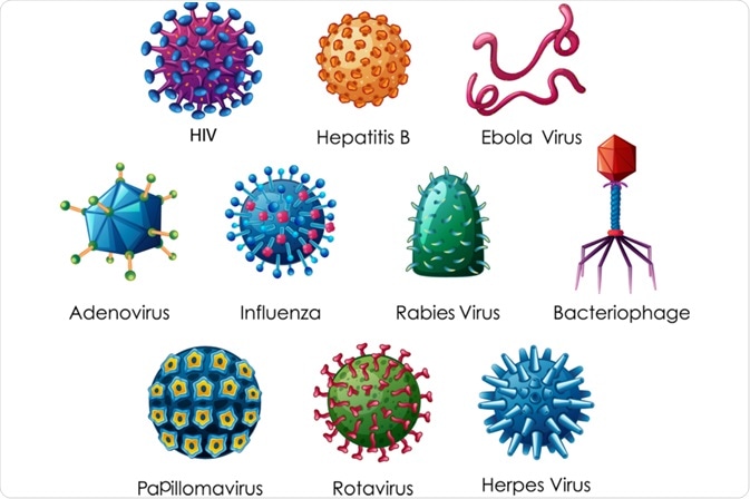 viruses