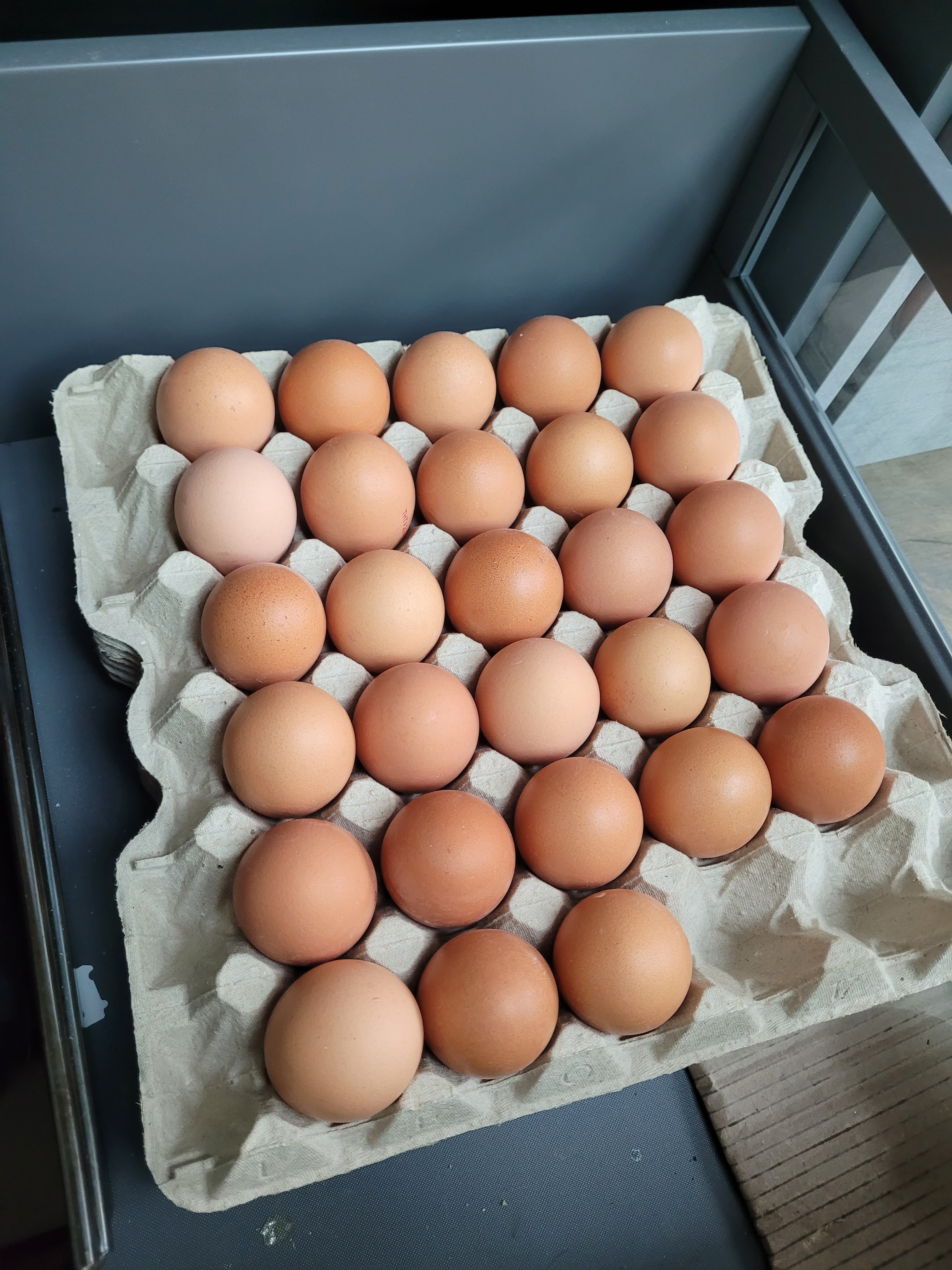 Carton of eggs