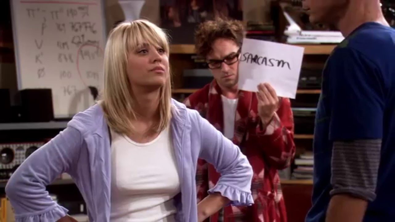 Leonard Hofstadter holding up a sarcasm sign