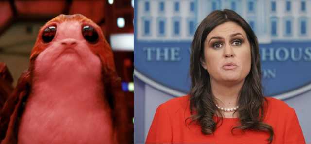 Sarah Huckabee-Sanders and her closest living ancestor. 