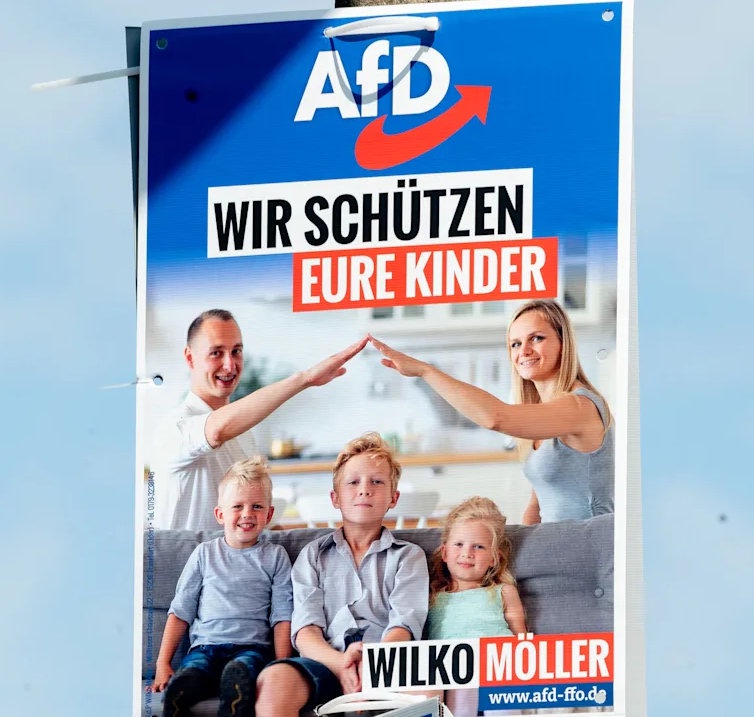 AfD Nazi salute poster