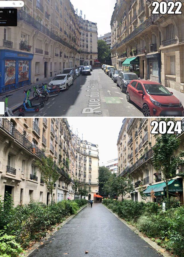 Google Street map capture of the same street in 2022 and 2024. 2022 has parking space on both sides of the road taking about 1/3 of the width. 2024 has the parking place replaced with wild-looking green bushes and young trees.