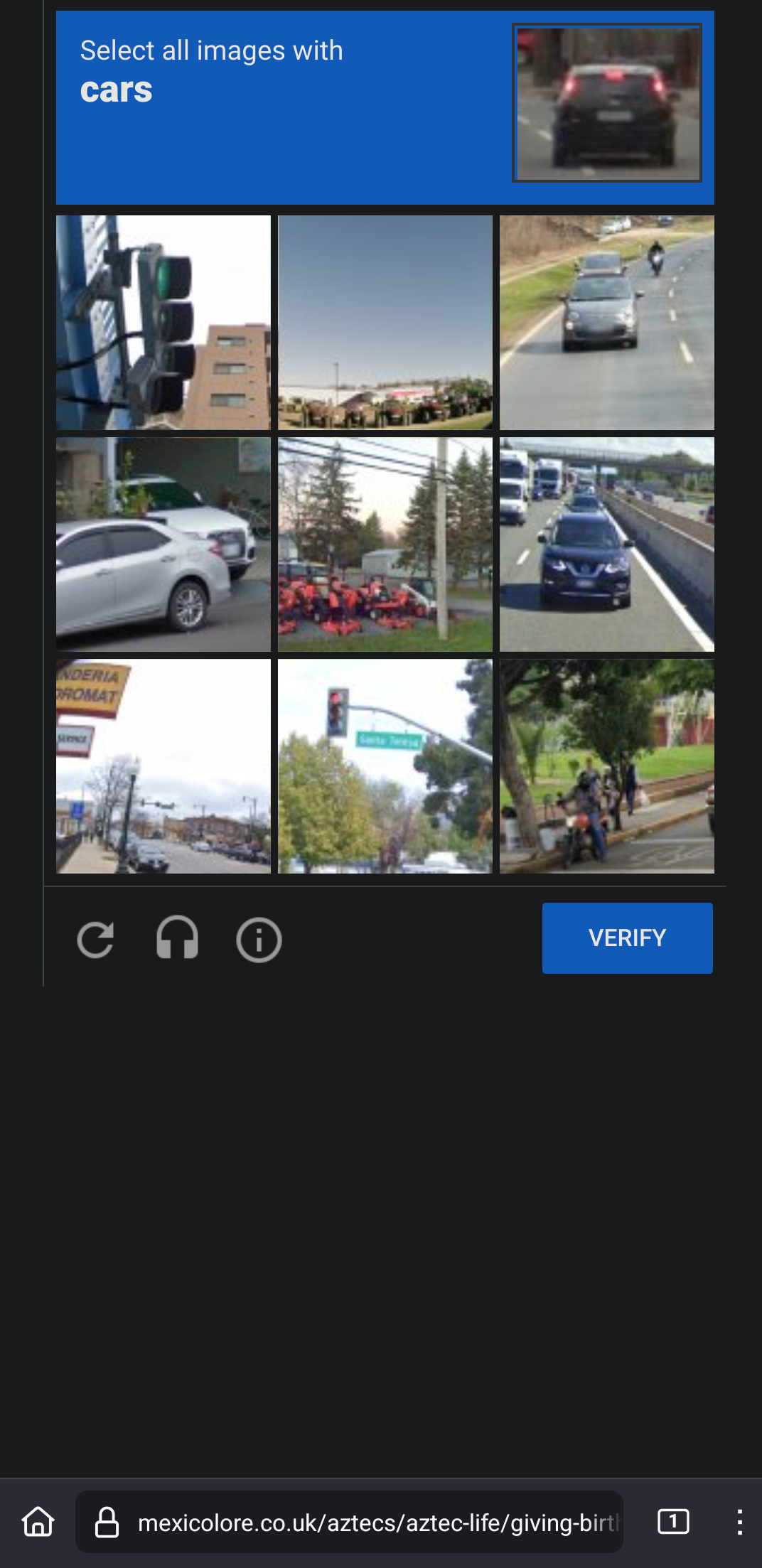 screenshot of the website asking me to solve the captcha and clicking on pictures of cars before letting me proceed