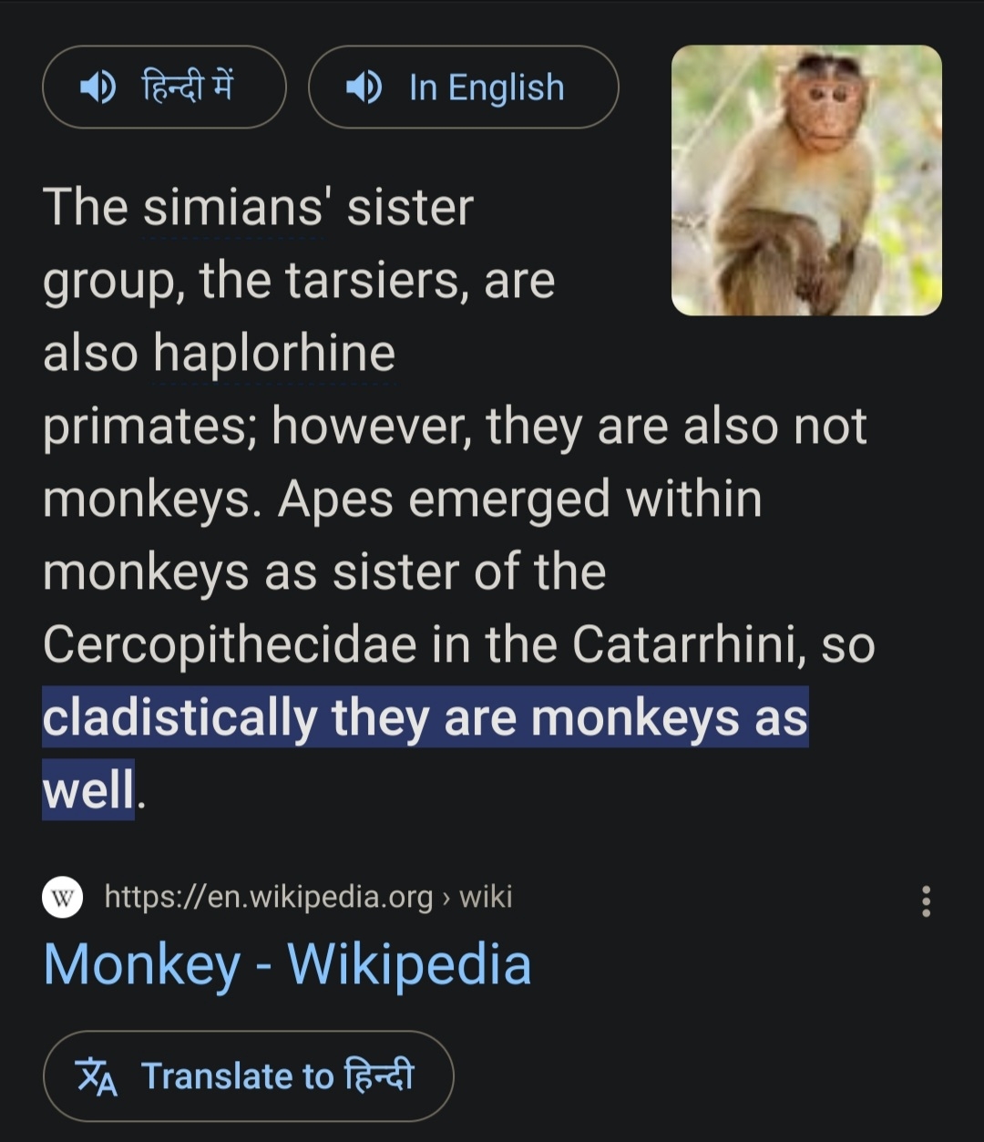 Apes are cladistically monkeys