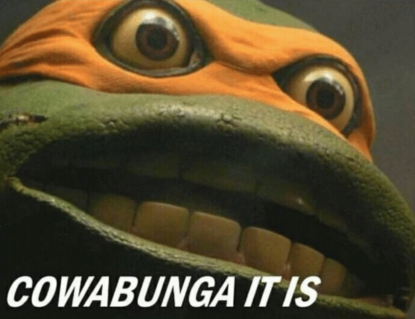 TMNT meme – cowabunga it is