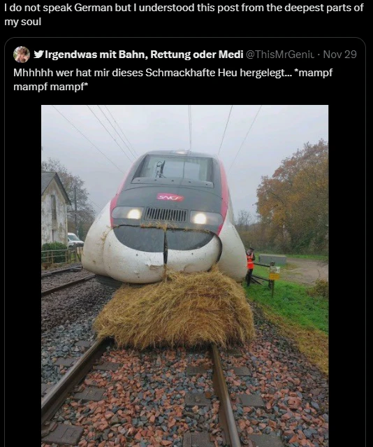 A picture shows the front of a train having crashed into some hay. Someone says in german "Mhhhhh wer hat mir dieses Schmackhafte Heu hergeleft... *mampf mampf mampf*". Someone replies "I do not speak german but I understood this post from the deepest parts of my soul".