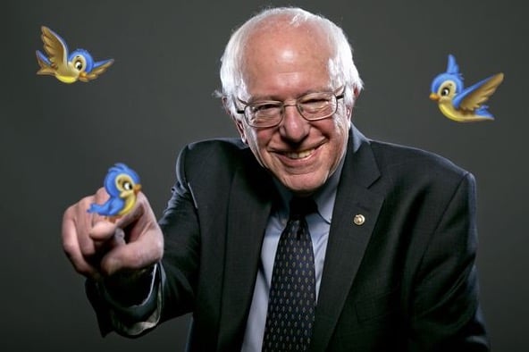 Birdy Sanders