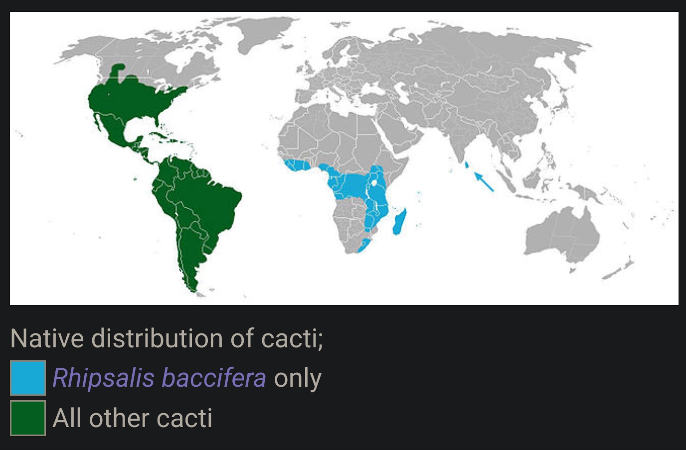 Map of Cactus ranges. Rhipsalis baccifera is found in Sri Lanka and sub-Saharan Africa while all other species are found in the Americas