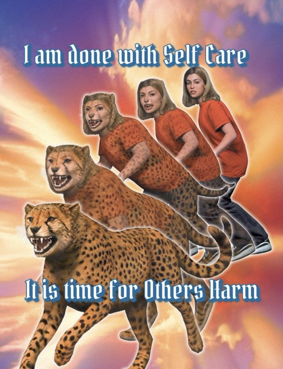 Animorphs book cover of girl changing into leopard with caption, "I am done with self care. It is time for others harm"