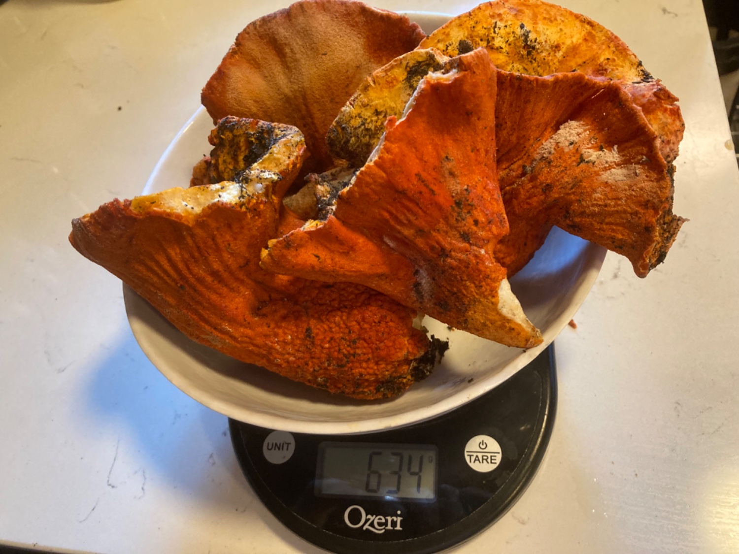 a bowl of bright orange lobster mushrooms on a scale showing 634g