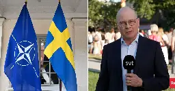 Ungern skjuter upp beslut – inget svenskt Natomedlemskap i sommar