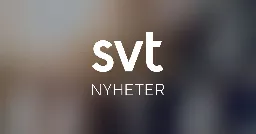 Rekordnegativ syn på Sverige